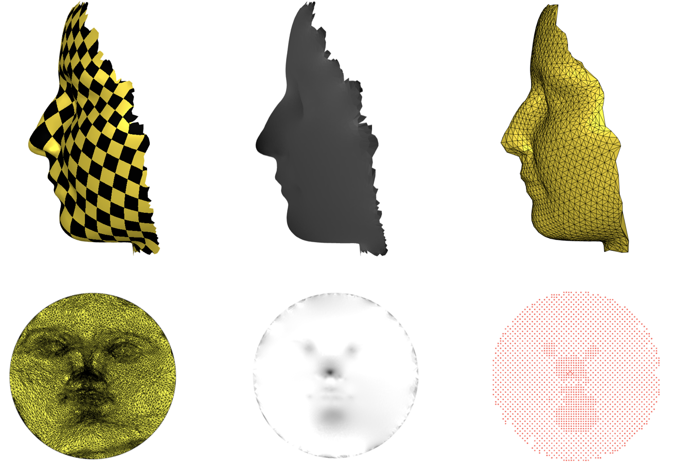 Steps of Remeshing (Front View)